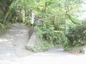 武蔵大路　画像