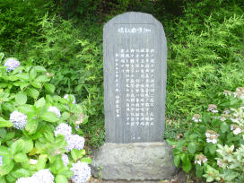 FÐ@摜
