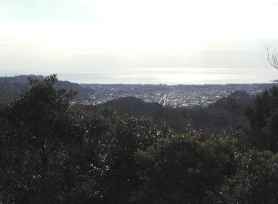 天園ハイキングコース十王岩から遠景  画像